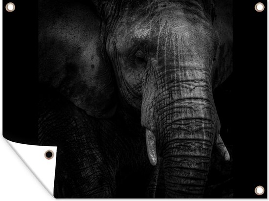 Tuin decoratie Portret van een olifant in zwart-wit tegen een donkere achtergrond - 40x30 cm - Tuindoek - Buitenposter