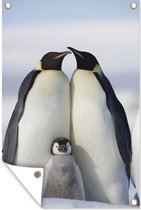 Muurdecoratie Pinguïn - Gezin - Sneeuw - 120x180 cm - Tuinposter - Tuindoek - Buitenposter