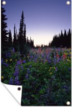 Fleurs colorées dans le Parc National Canadien Affiche de jardin du Mont Revelstoke 120x180 cm - Toile de jardin / Toile d'extérieur / Peintures d'extérieur (décoration de jardin) XXL / Groot format!