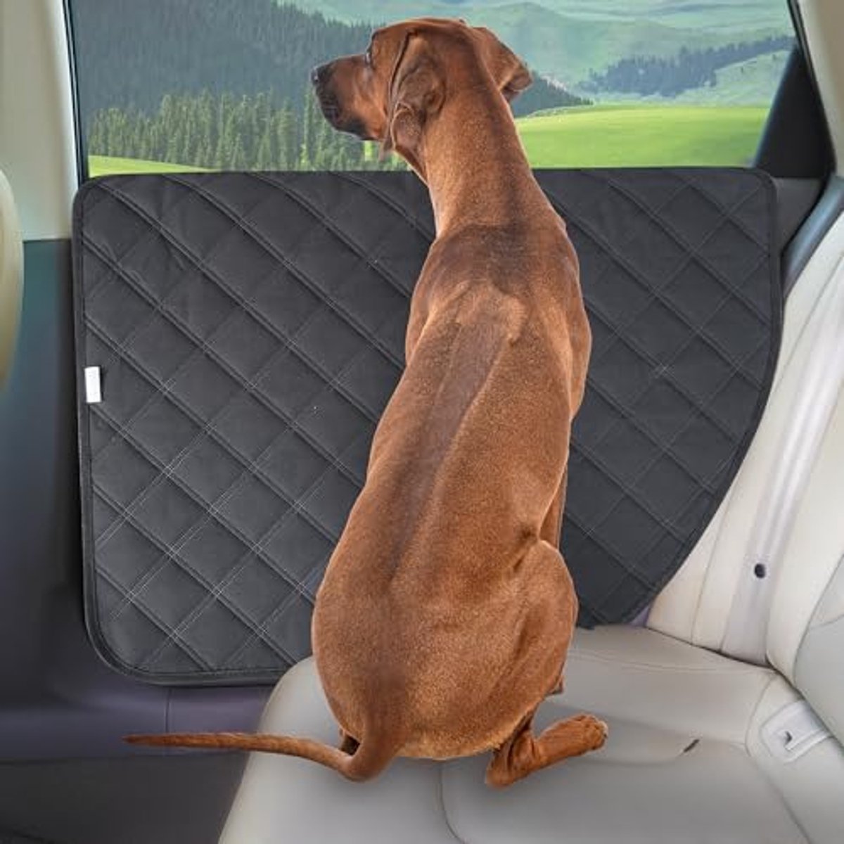 Kurgo Autoachterbank voor Rover, voor honden tot 45 kg, met gevoerde scheidingswand Kurgo Autoachterbank voor Rover, voor honden tot 45 kg, met gevoerde scheidingswand
