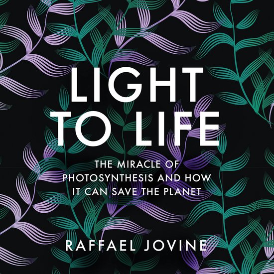 Light to Life - cover