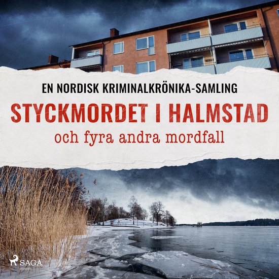 Styckmordet i Halmstad och fyra andra mordfall - cover