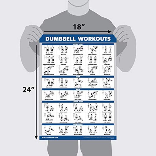 Een man houdt een gelamineerde poster met dumbbell oefeningen omhoog, 18 x 24 inch, getiteld 'DUMBBELL WORKOUTS'.