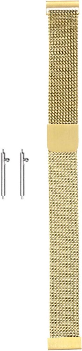Allecto plus - Roestvrij stalen mesh horlogeband 14 mm snelwissel armband met magnetische sluiting - Goudkleurig - Unisex.