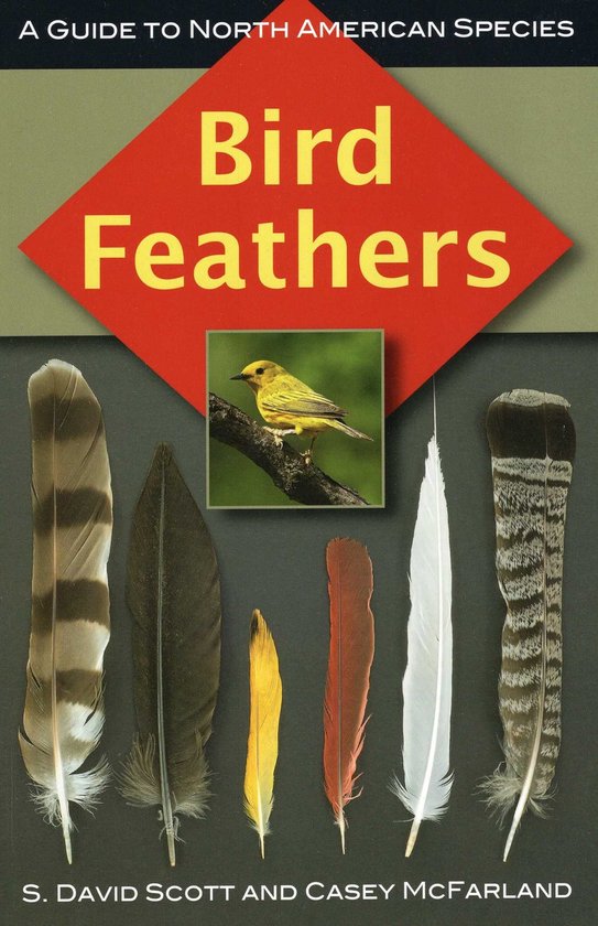 Bird Feathers - cover