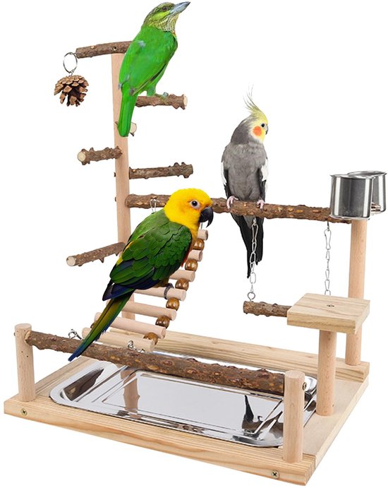 Curated visual reference: Gallery Detail: Bird Play Stand Parakeets Playground With Ladder Swing 37 X