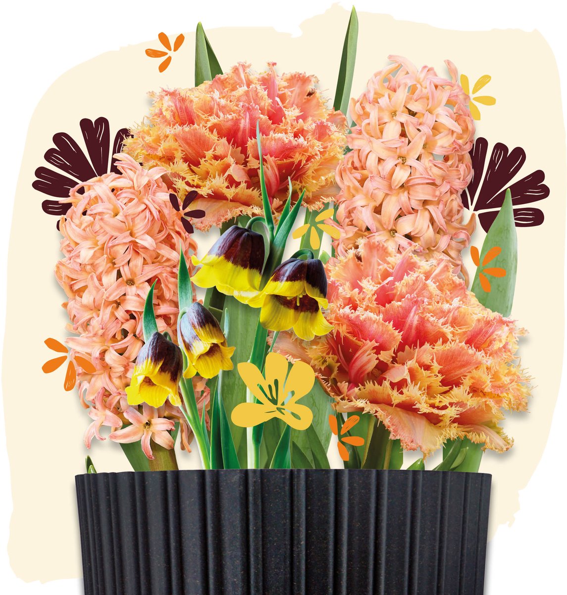 Plant Magic Grow Kit Orange | Pot met bloembollen en potgrond | Bulbious