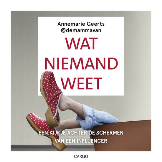 Wat niemand weet - cover