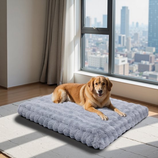 PetFusion Premium Medium Hondendeken (112x86 cm) Omkeerbaar Grey Micro Pluche. [100% zacht polyester