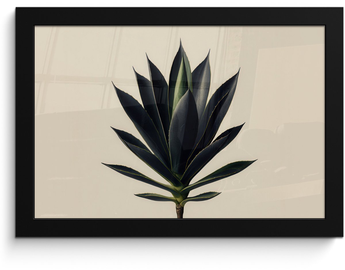 FrameYourWall Poster in lijst - Fotolijst 30x20 cm - Posters - Agaveplant - Symmetrisch - Groen - Posterlijst zwart - Decoratie - Wanddecoratie woonkamer - Muurdecoratie slaapkamer