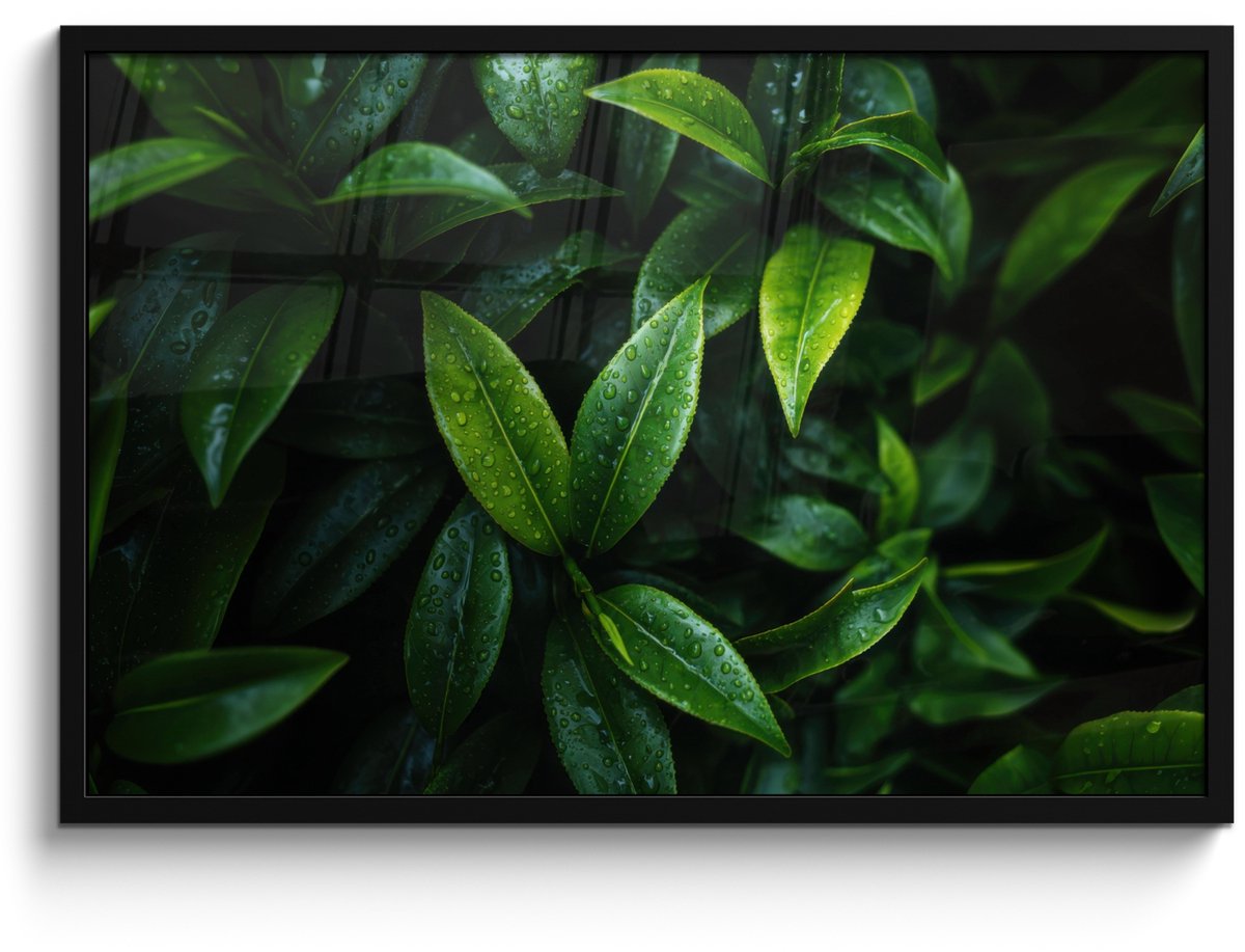 FrameYourWall Poster in lijst - Fotolijst 90x60 cm - Posters - Bladeren - Regendruppels - Licht - Groen - Posterlijst zwart - Decoratie - Wanddecoratie woonkamer - Muurdecoratie slaapkamer