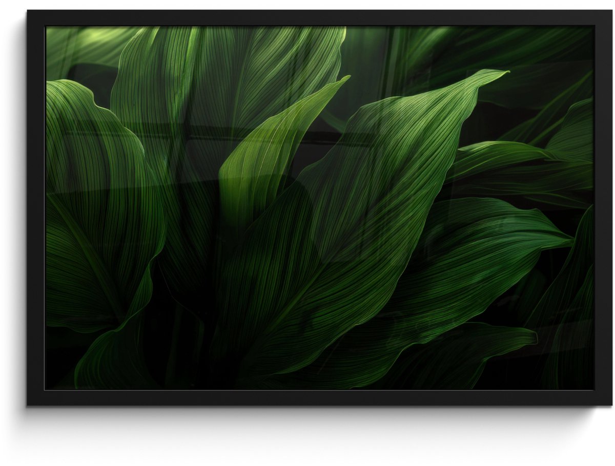 FrameYourWall Poster in lijst - Fotolijst 60x40 cm - Posters - Bladeren - Schaduw - Groen - Textuur - Posterlijst zwart - Decoratie - Wanddecoratie woonkamer - Muurdecoratie slaapkamer Bladeren - Textuur