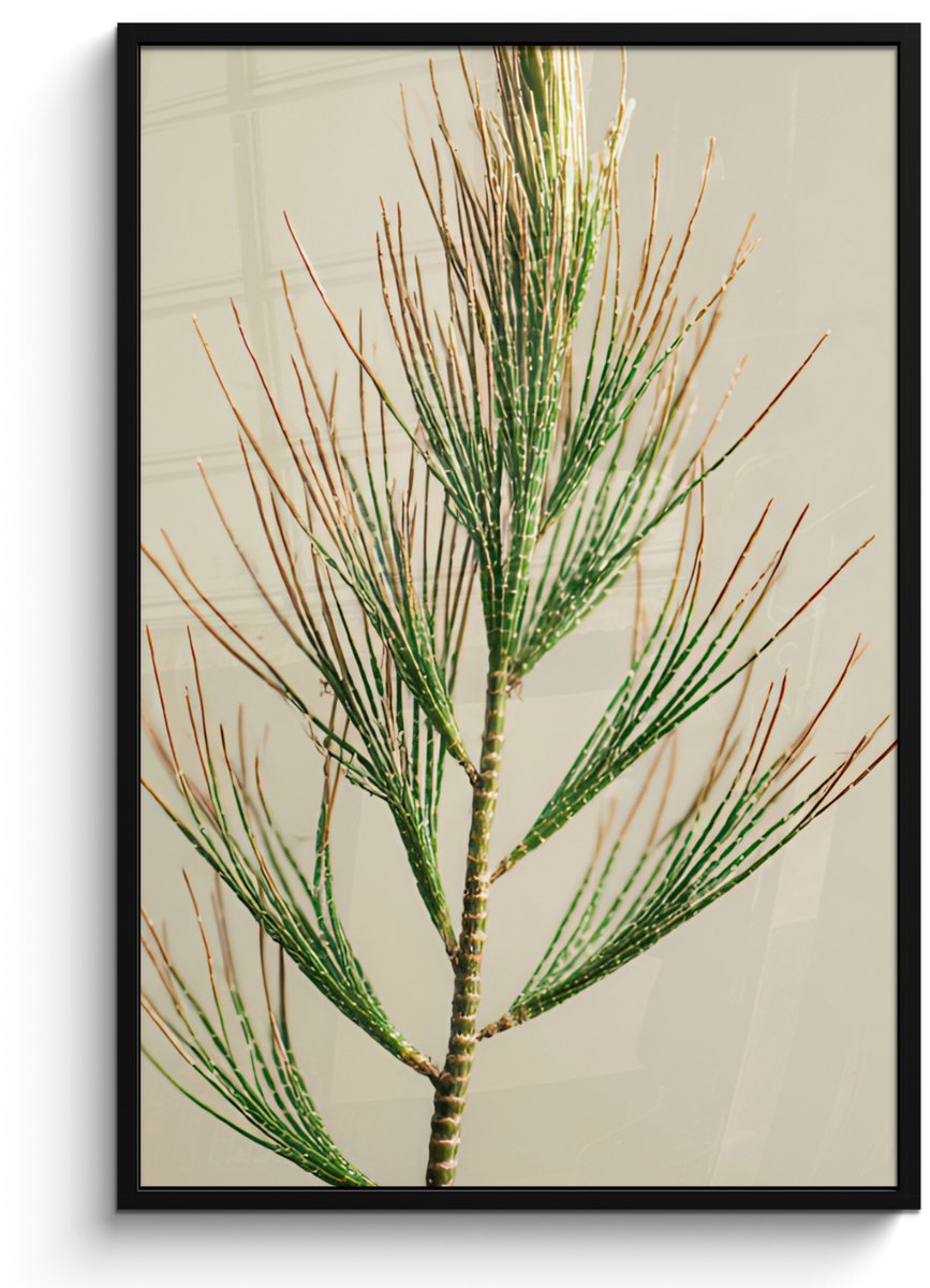 FrameYourWall Poster in lijst - Fotolijst 80x120 cm - Posters - Dennentak - Naaldvormige bladeren - Lichtgroen - Posterlijst zwart - Decoratie - Wanddecoratie woonkamer - Muurdecoratie slaapkamer