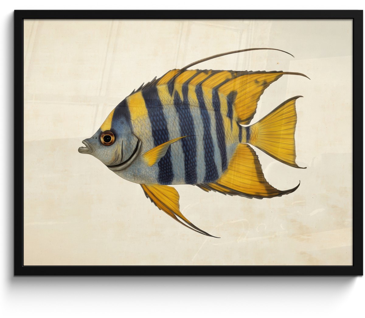 FrameYourWall Poster in lijst - Fotolijst 80x60 cm - Posters - Vis - Sierlijk - Vinnen - Illustratie - Posterlijst zwart - Decoratie - Wanddecoratie woonkamer - Muurdecoratie slaapkamer