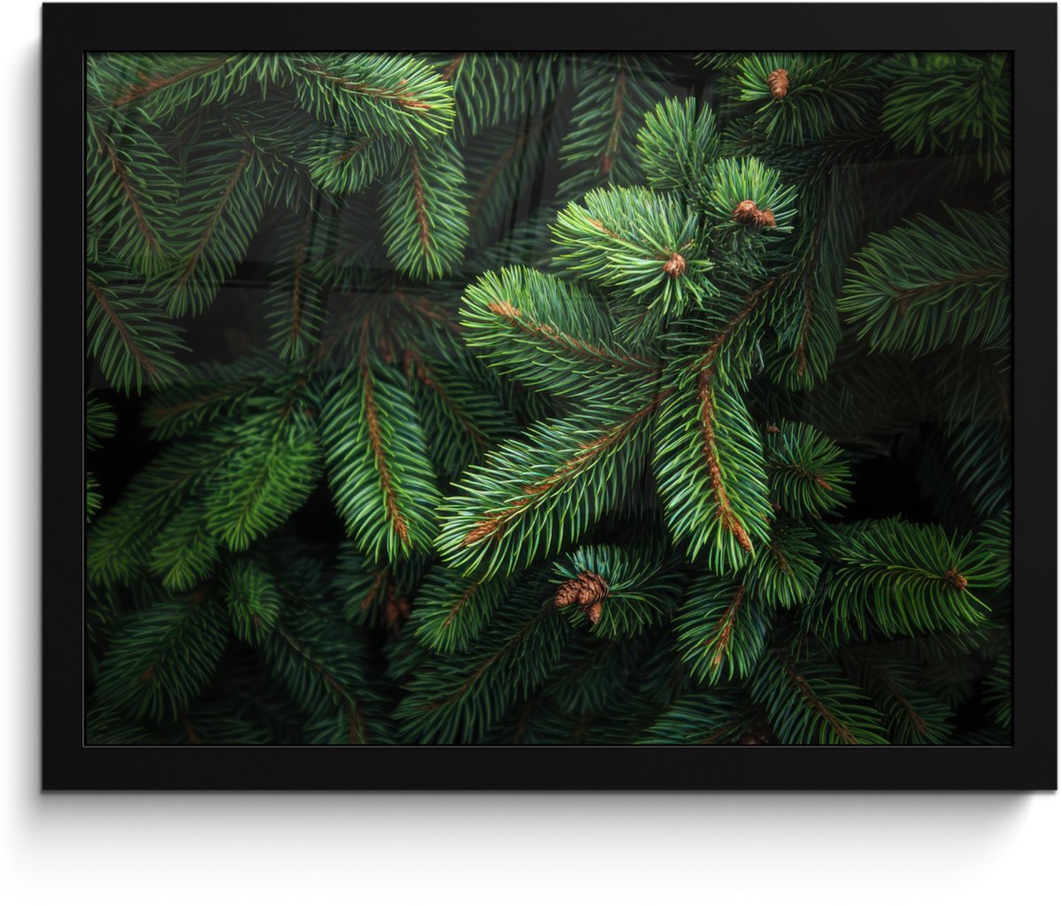 FrameYourWall Poster in lijst - Fotolijst 40x30 cm - Posters - Sparrentakken - Knoppen - Naalden - Groen - Posterlijst zwart - Decoratie - Wanddecoratie woonkamer - Muurdecoratie slaapkamer