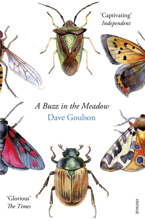 Buzz In The Meadow - cover