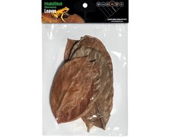 HabiStat Bladeren Jackfruit 10 Stuks voor bioactieve terrarium bodembedekking