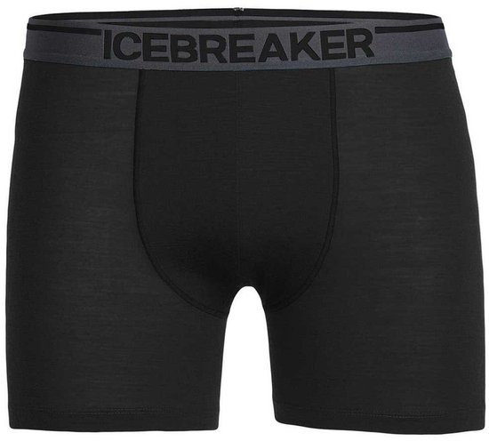 Icebreaker 150 Anatomica
