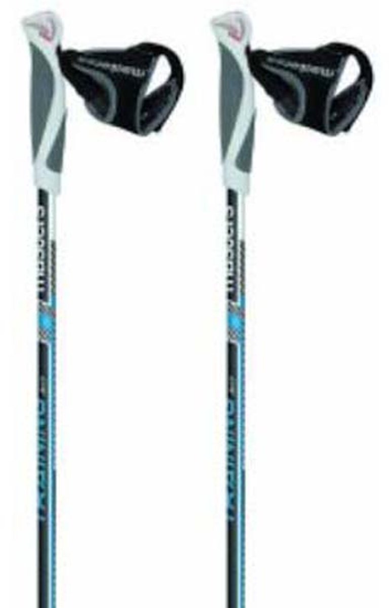 Masters Trainning 2 Stokken Transparant 77-135 cm