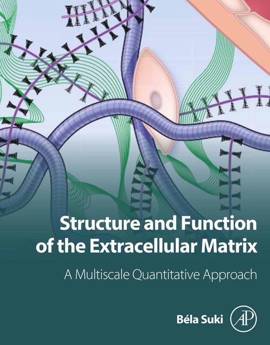 Structure and Function of the Extracellular Matrix - cover