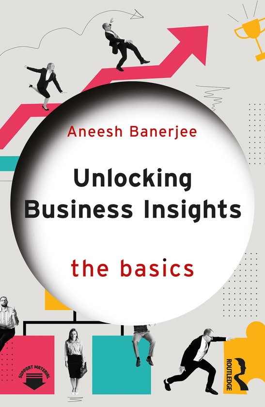 The Basics- Unlocking Business Insights - cover