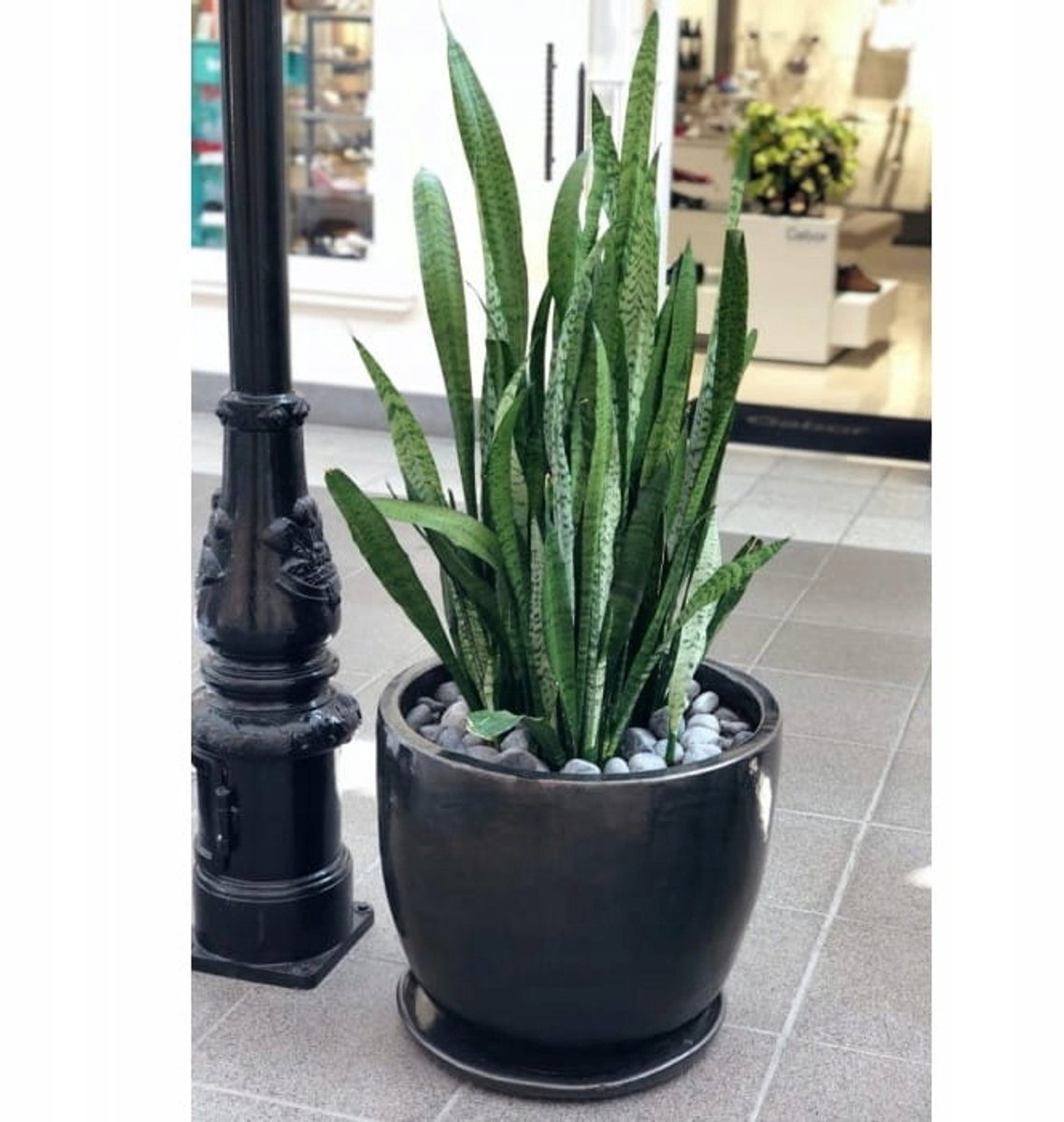 Zwarte Keramische Pot met Schotel - 36x38 cm - Vorstbestendig