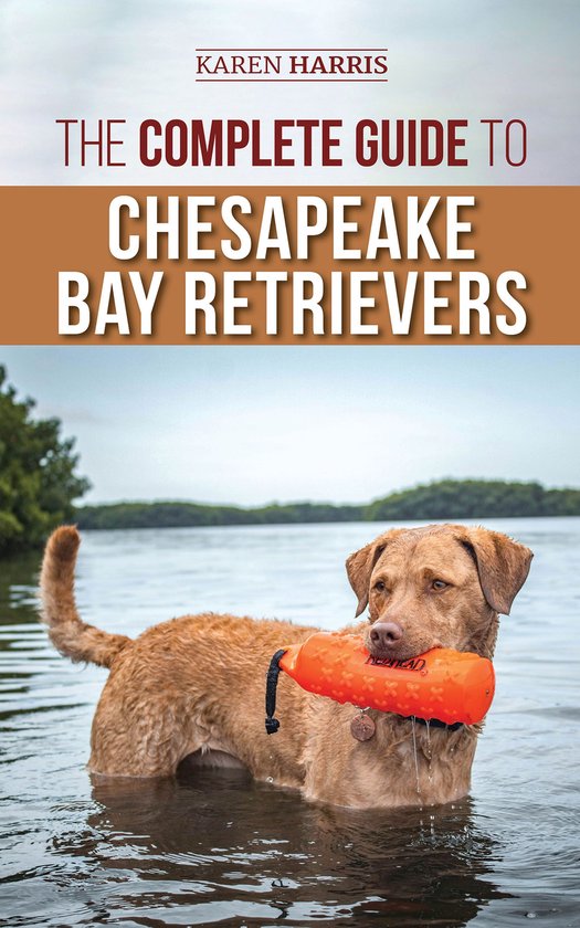 The Complete Guide to Chesapeake Bay Retrievers - cover