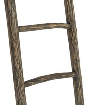 Teakea - Teakhouten Decoratie Ladder Carved Bruin 50x5x175 cm - Luxe Houten Sierladder