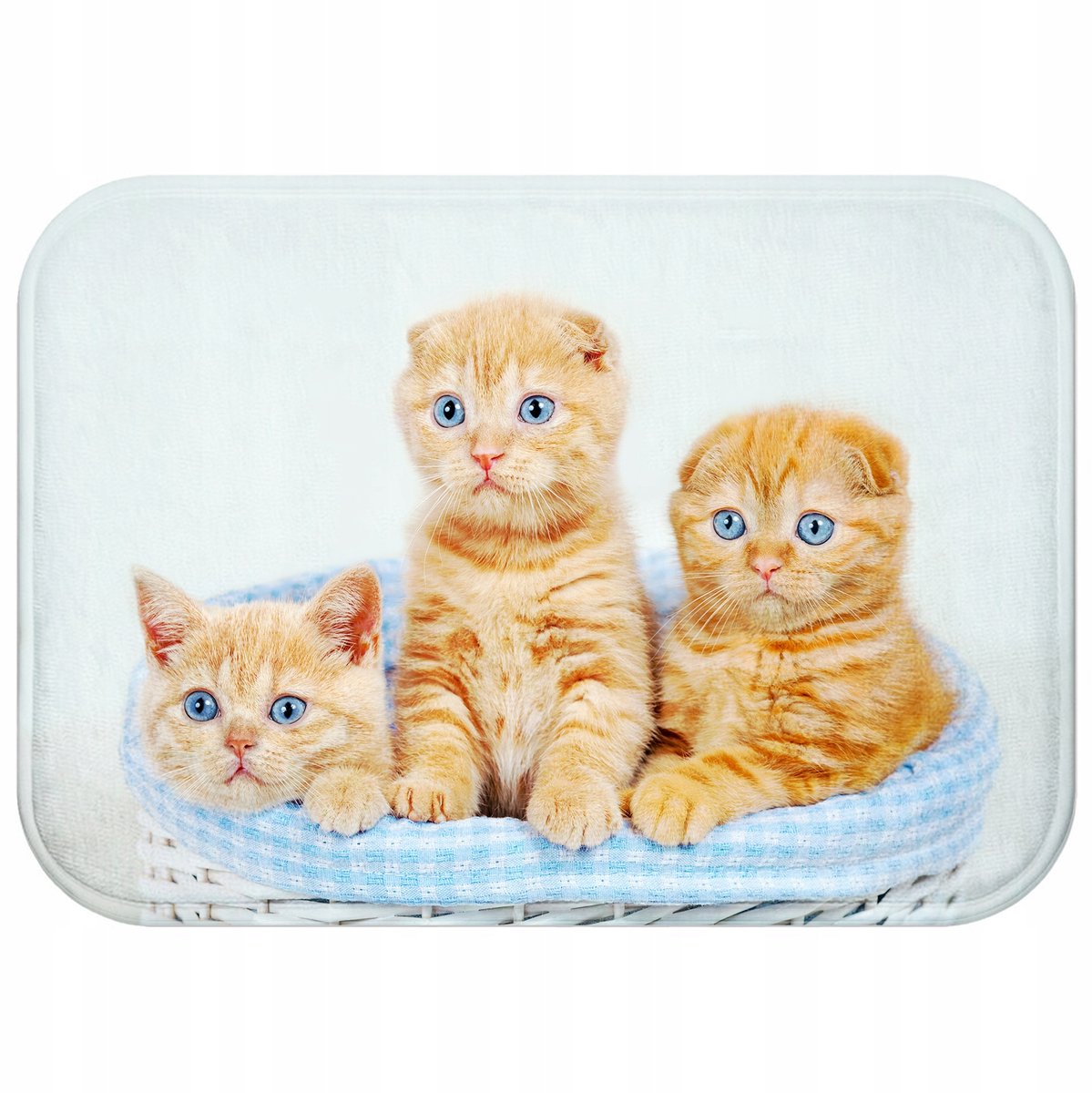 Badkamermat 40x60cm - Antislip, Sneldrogend, Waterdicht, Stijlvol