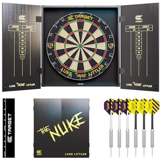 Profesyonel Metal Dart seti taşıma çantası ile pirinç varil alüminyum milleri ve