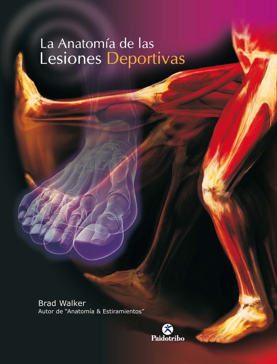 Medicina Deportiva - La anatomía de las lesiones deportivas ... - cover