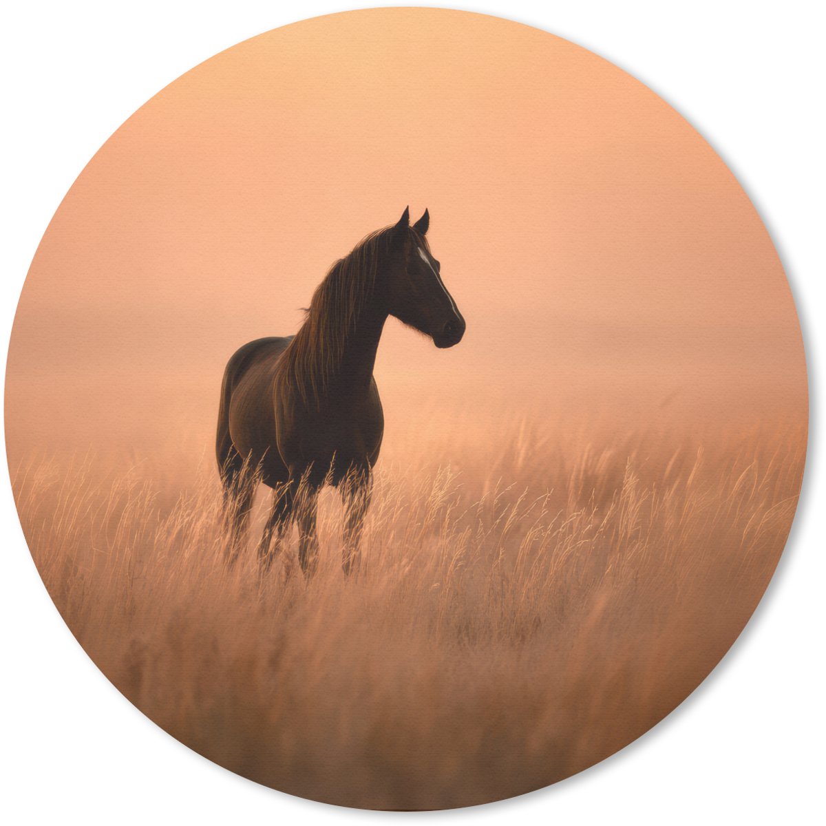 Muismat rond 40x40 cm - Mousepad Paard - Grasveld - Zonsondergang - Ronde muismatten
