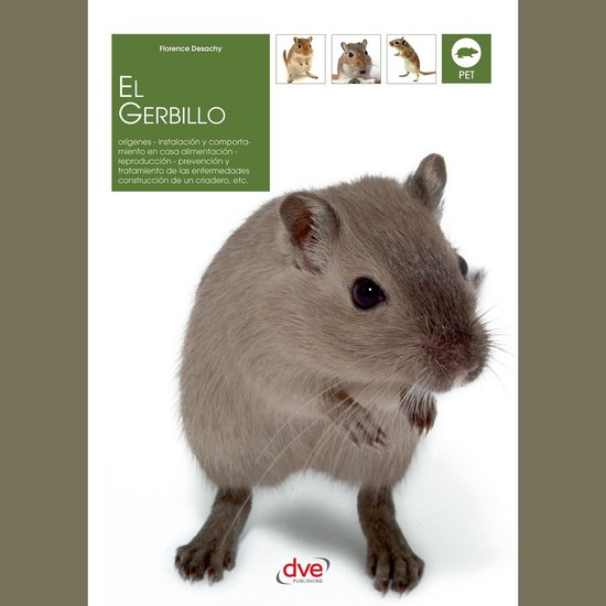 El gerbillo - cover