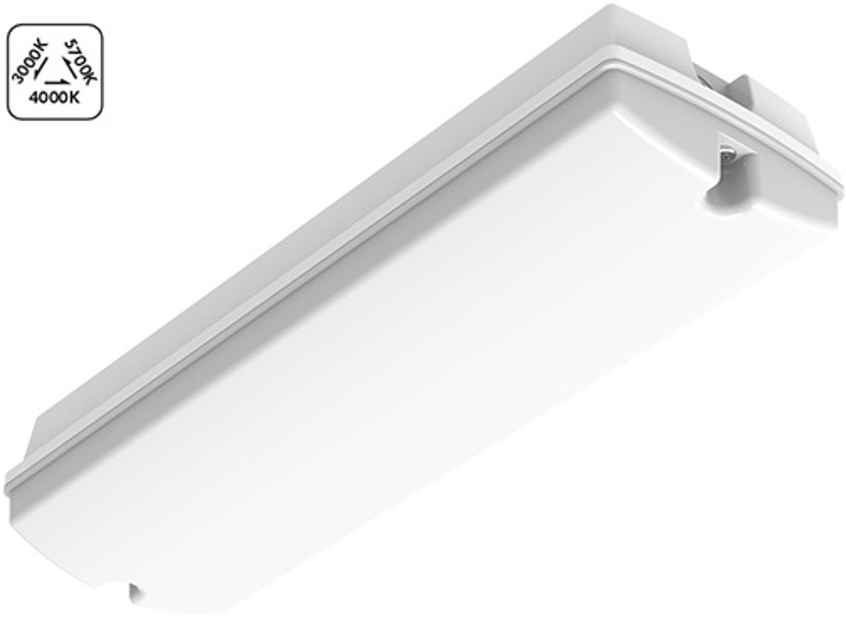 LED Galerij/Portiekverlichting 3W 280lm | Instelbare lichtkleur | IP66 Buitenlamp | Geen fitting | Warm Wit-Koel Wit-Daglicht | 3 watt | 35.000 Branduren