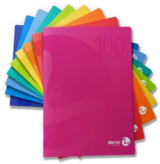 a4-notitieboeken-set-van-12-in-9-kleuren-10-mm-liniatuur-100-g-m