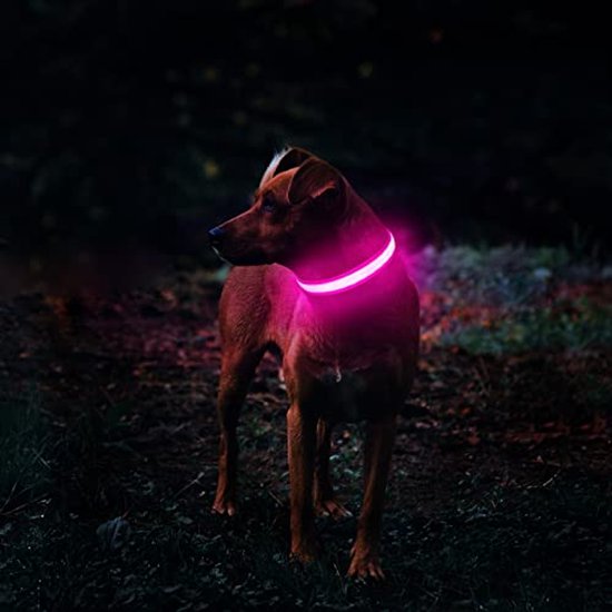 MASBRILL Lichtgevende hondenhalsband, oplaadbaar, voor in het donker, 7 kleuren, 8 knippermodi, verstelbaar, waterdicht, halsband met ledverlichting voor grote, middelgrote en kleine honden, rood, S