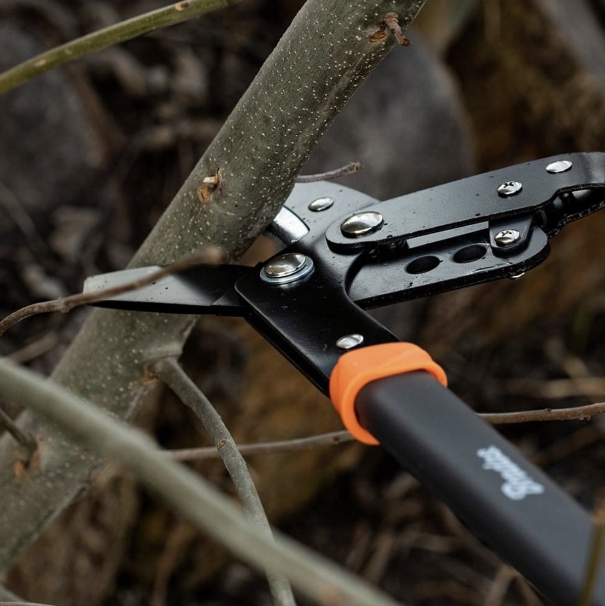 Fiskars Sécateur à enclume robuste - Capacité de coupe 50mm