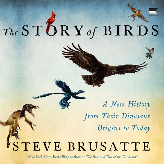 The Story of Birds - cover