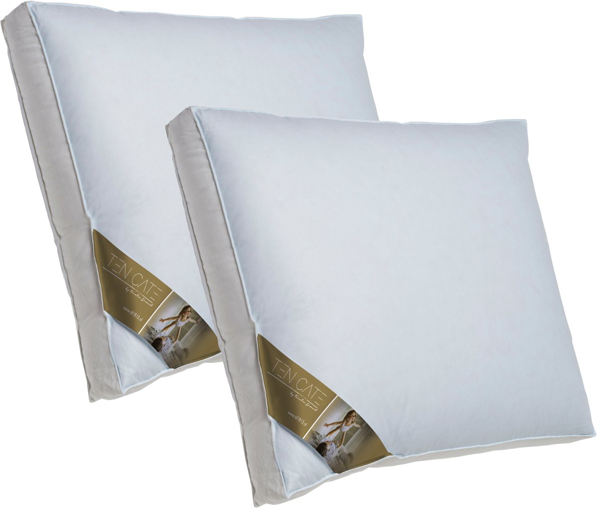 Ten Cate Hoofdkussen - Nekklachten - Ganzendons & Ganzenveren - Driekamer - Geschikt voor rug-, zij- en buikslapers - Ergonomisch - 50x60 cm - 2 stuks