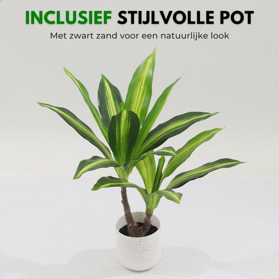 Kunstplant Dracaena Lemon Lime in gestippelde witte pot met zwarte aarde.