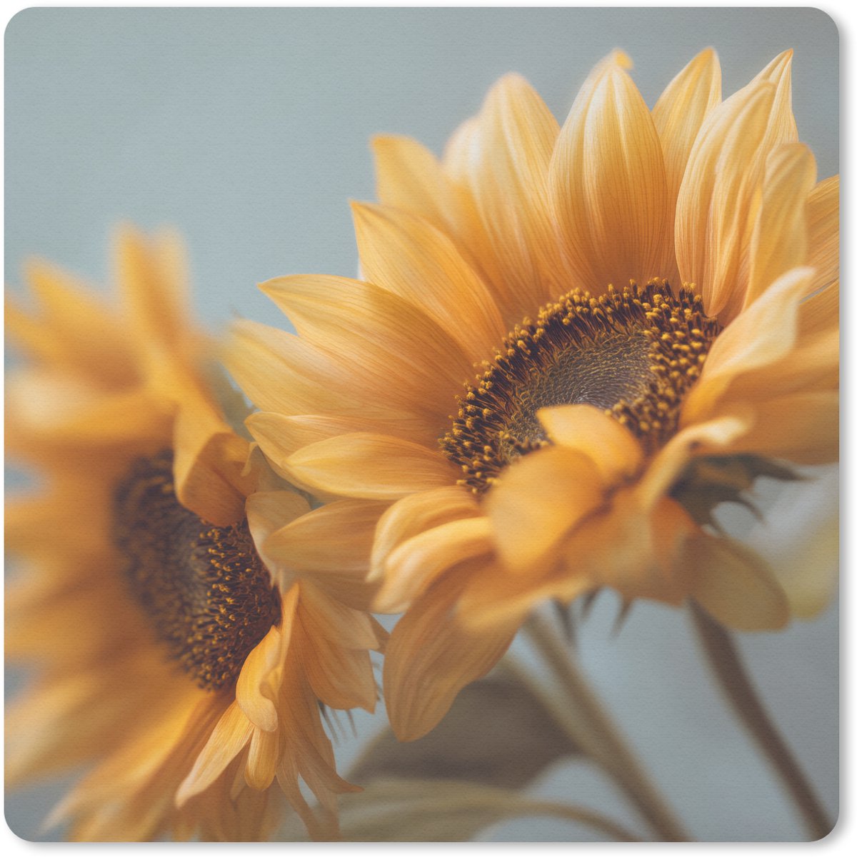 Muismat 20x20 cm - Mousepad Zonnebloemen - Geel - Wazig - Muismatten