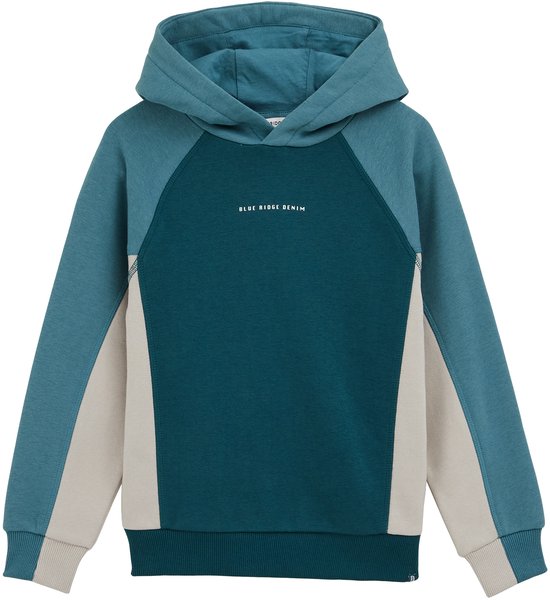 Sweat à capuche à blocs de couleurs WE Fashion Garçons