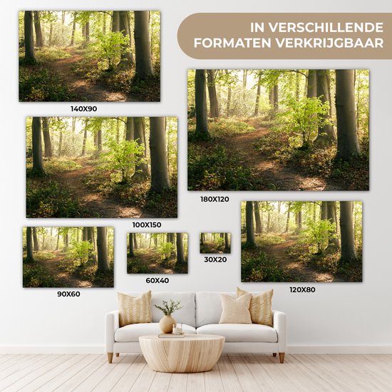 Chemin dans la forêt Toile 30x20 cm - petit - Tirage photo sur toile (Décoration murale salon / chambre) / Décoration murale Peintures sur toile