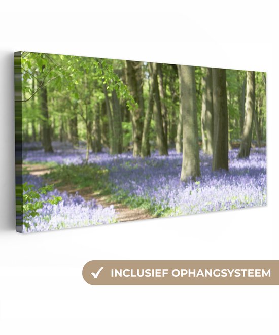 Canvas schilderij 160x80 cm - Wanddecoratie Bos - Pad - Bloemen - Paars - Groen - Natuur - Muurdecoratie woonkamer - Slaapkamer decoratie - Kamer accessoires - Schilderijen op canvas