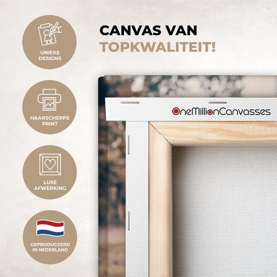 Tableau sur toile - Highlander - Animaux - Vache - Peintures salon - Décoration chambre - Toile toile - 40x30 cm