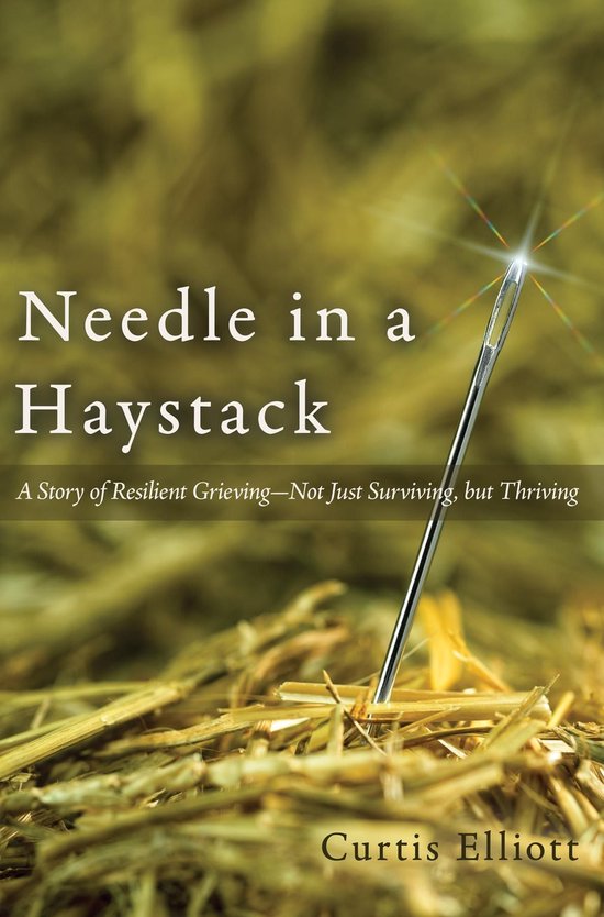 Needle in a Haystack - cover