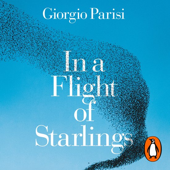 In a Flight of Starlings - cover