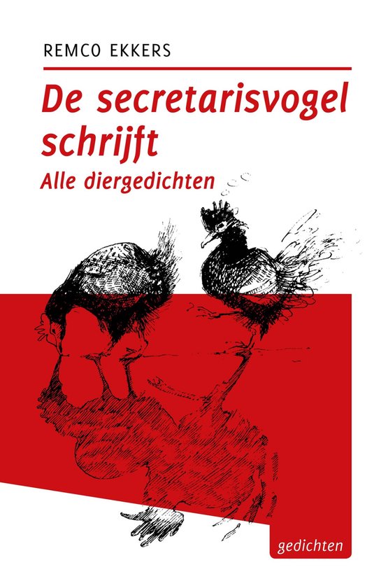 Tzum-reeks 13 - De secretarisvogels schrijft - cover