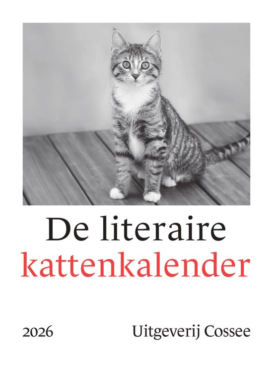 Kattentehuis Vergeet-me-nietje - Bestel onze kalender voor 17 september aan de actieprijs van