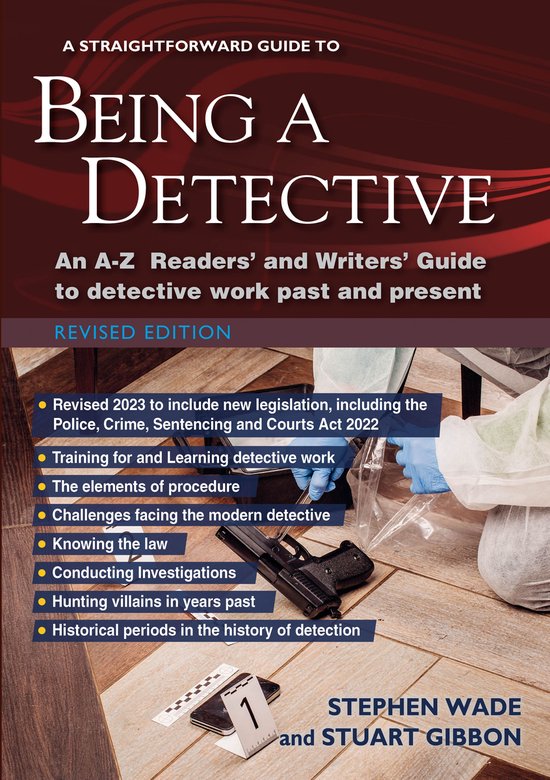 A Straightforward Guide to Being a Detective - cover